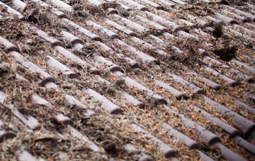 Tresham roof cleaning companies